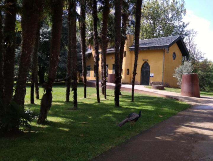 Big 4 Rooms In A Centric Home Parking Included San Sebastián Esterno foto